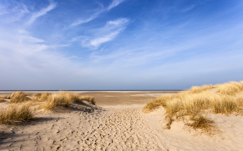 Weg durch die Dünen zum Strand von Borkum
