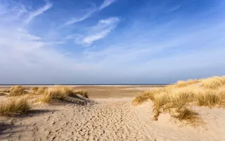 Weg durch die Dünen zum Strand von Borkum